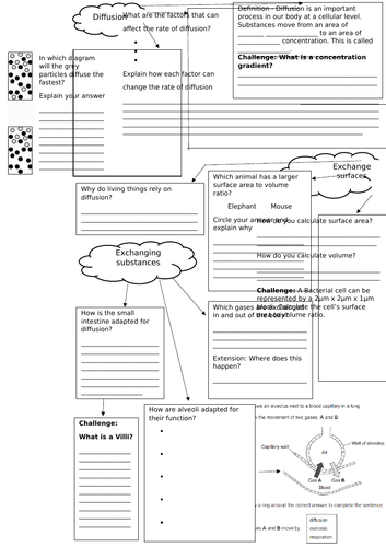 docx, 215.14 KB