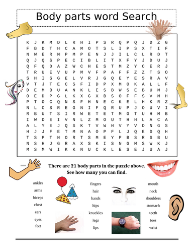 Body Parts Word Search Puzzle (Elementary) | Teaching Resources