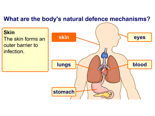 KS4 AQA GCSE Biology (Science) Immune System Lesson & Activities