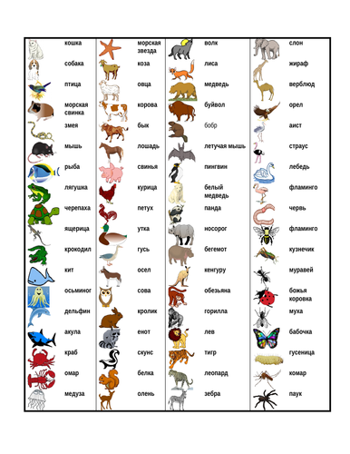 животные (Animals in Russian) Desk Mat | Teaching Resources