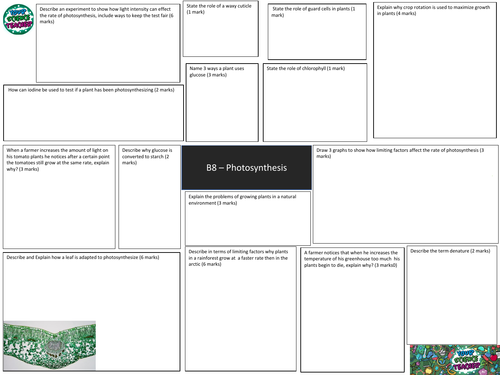 AQA GCSE 9-1 B8 Photosynthesis Revision Mat | Teaching Resources