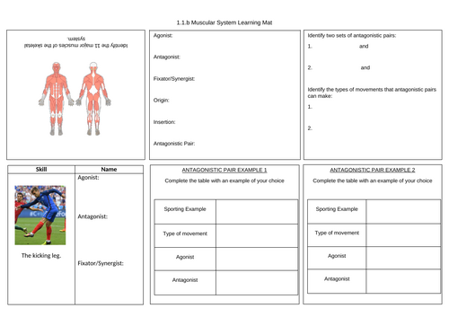 doc, 184.5 KB