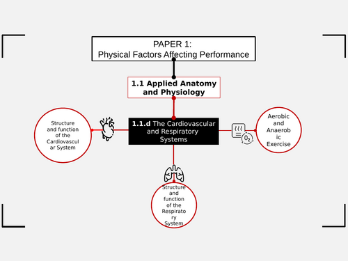 Gcse Pe Cardiovascular And Respiratory System Bundle 