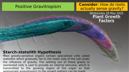 14.2 Plant Growth Factors