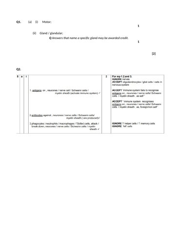 docx, 117.1 KB