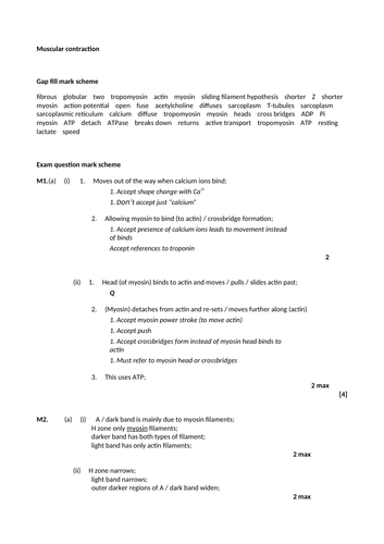 docx, 25.61 KB