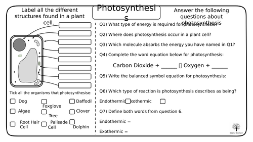 photosynthesis gcse biology worksheets teaching resources