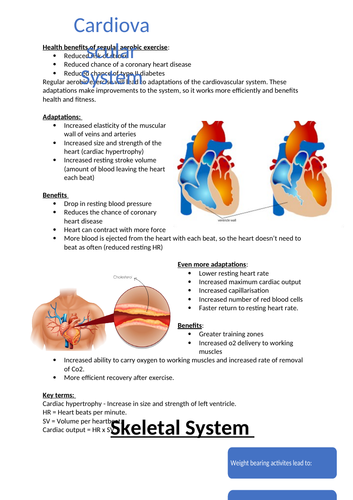 GCSE PE Respiratory System Long and Short Term Effects | Teaching Resources