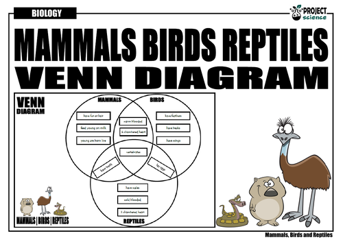 Mammals, Birds and Reptiles Venn Diagram | Teaching Resources