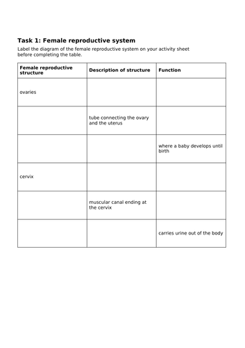 KS3 Female reproductive system | Teaching Resources