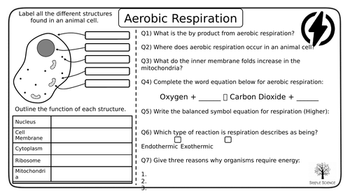 Gcse Biology Aerobic And Anaerobic Respiration Worksheets Teaching Resources