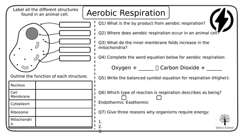 Aerobic and Anaerobic Respiration - GCSE Biology Worksheets | Teaching  Resources