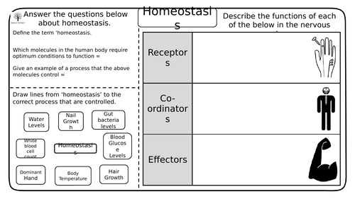 Gcse Biology Homeostasis And The Nervous System Worksheets Teaching Resources