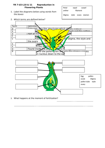 Flower Reproduction and Seed Dispersal | Teaching Resources