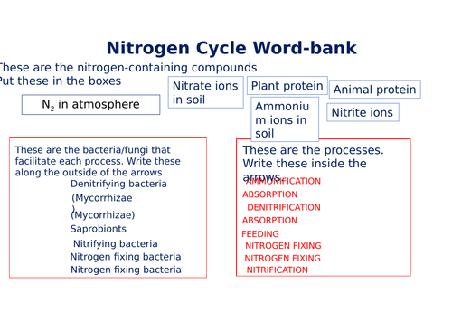 The Nitrogen Cycle worksheet | Teaching Resources