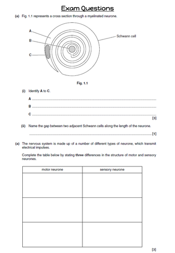 Topic 8 - Lesson 1 Nervous system | Teaching Resources