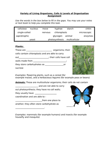 Variety of Living Organisms, Cells & Levels of Organisation Gap-Fill ...