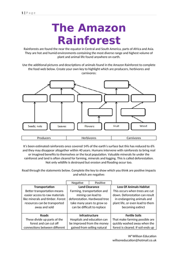 primary homework help amazon rainforest