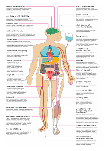 PSHE - The effects of smoking | Teaching Resources