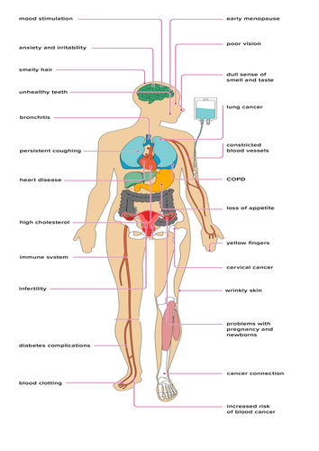 PSHE - The effects of smoking | Teaching Resources