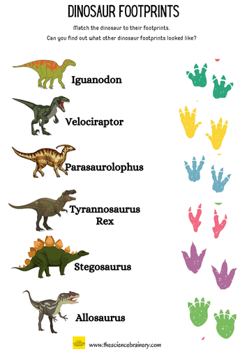 Dinosaur footprint matching game | Teaching Resources