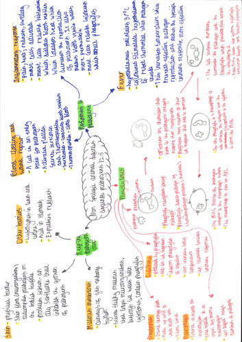 OCR A level Biology Chapter 12 Communicable Diseases | Teaching Resources