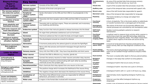 AQA Psychology Biopsychology knowledge organiser Paper 2