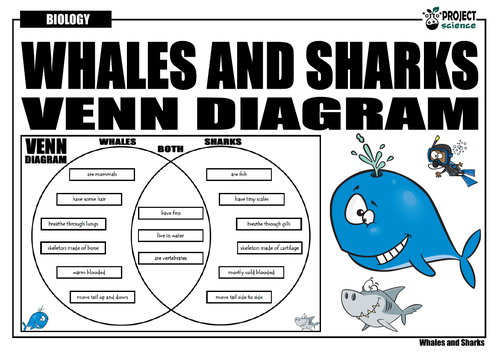 Whales and Sharks Venn Diagram | Teaching Resources