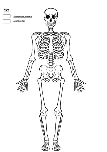 pdf, 150.6 KB