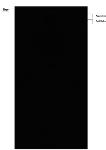 docx, 71.54 KB