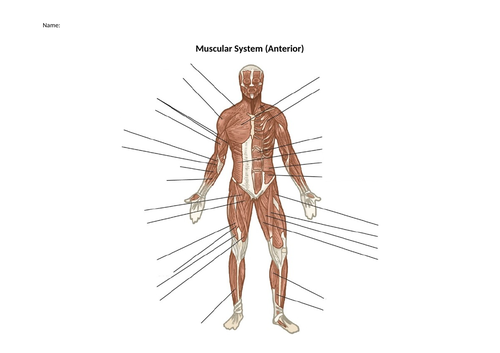 Unit 1 Anatomy and Physiology Unit Pack | Teaching Resources