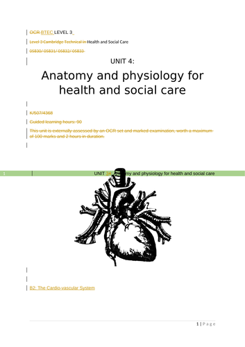 docx, 3.25 MB