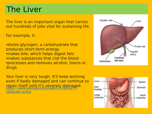 ANATOMY AND PHYSIOLOGY OF LIVER CIRRHOSIS SLIDESHARE visual data 6