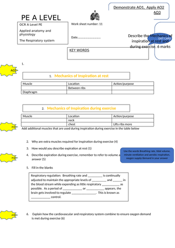 docx, 270.48 KB