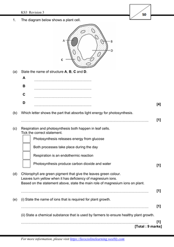 Revision 3 - Exam style questions (KS3, Year 9, IGCSE)