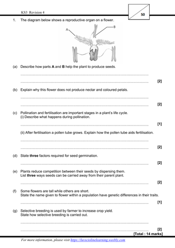 Revision 4 - Exam style questions (KS3, Year 9, IGCSE)