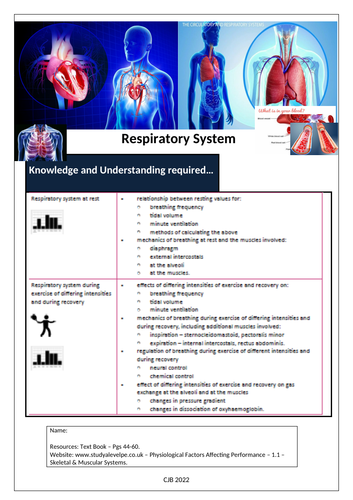 ocr-a-level-pe-anatomy-and-physiology-ilt2-respiratory