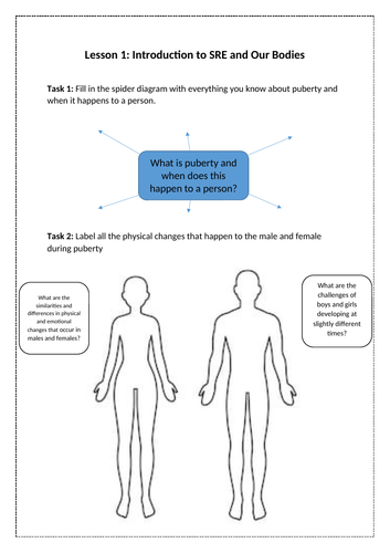 Introduction To Sex And Relationship Education Ks3 Key Stage 3 Teaching Resources 0641