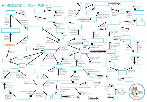 Homeostasis - Concept Map (KS3/4/5) | Teaching Resources