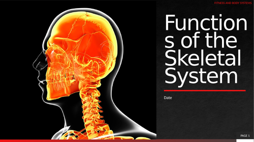 1. Functions of the Skeletal System | Teaching Resources