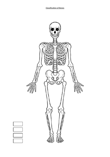 docx, 227.07 KB