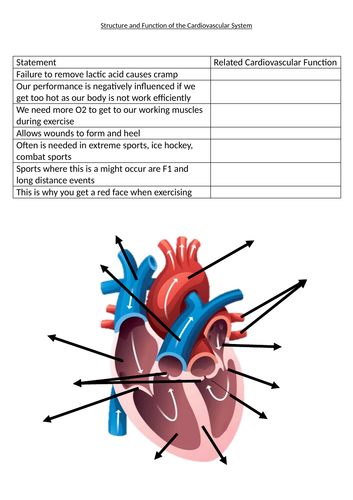 7. Structure and Function of the Cardiovascular System | Teaching Resources