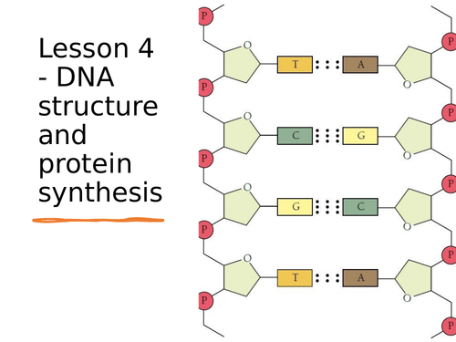 aqa-gcse-biology-9-1-b13-5-dna-structure-and-protein-synthesis-full