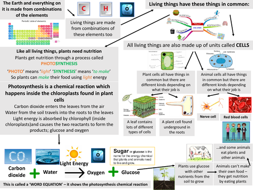 what-are-living-things-made-of-teaching-resources