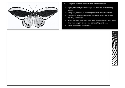Natural Forms butterfly illustration worksheet