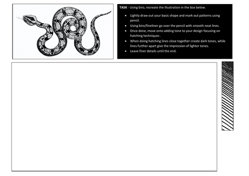 Natural Forms Snake illustration worksheet