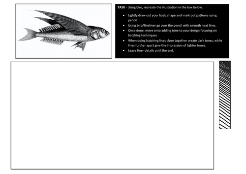 Natural Forms Fish Illustration