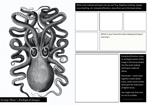 Mark-Making Natural Forms