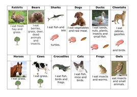 Animal diets lesson and sheet Year 1 | Teaching Resources