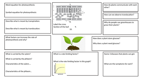 Plant Biology summary sheet GCSE | Teaching Resources